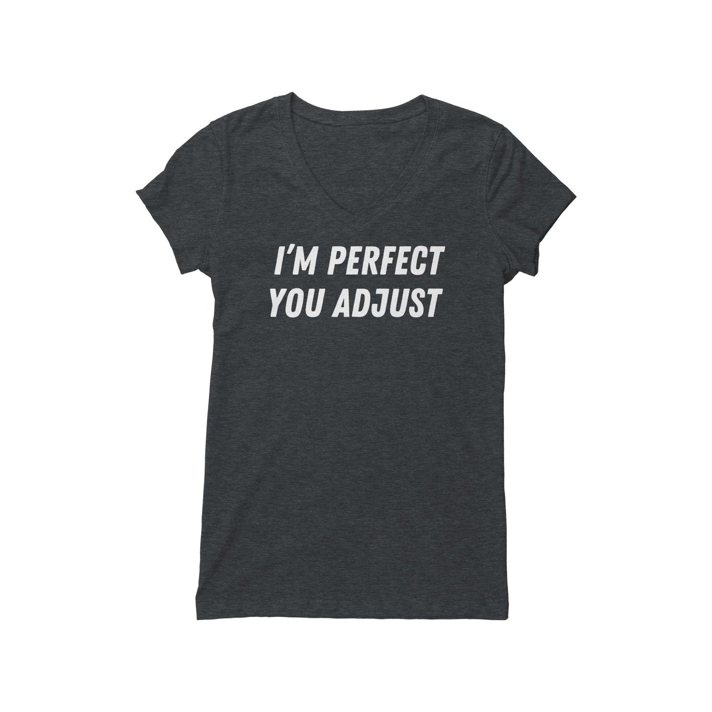 Sarcastic T Shirt I'm perfect You adjust, Attitude Tee, Funny statement shirt, Sarcastic humor Perfectionist